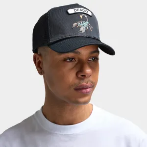 Goorin Bros GB2 Deadly Scorp Snapback / Black